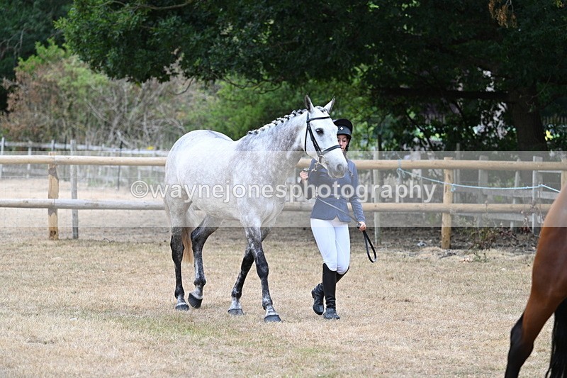 WJ7_8636 - Class 4a Prettiest Mare 14.2hh and over