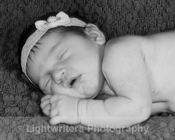 Buckle 41 - Baby Harper