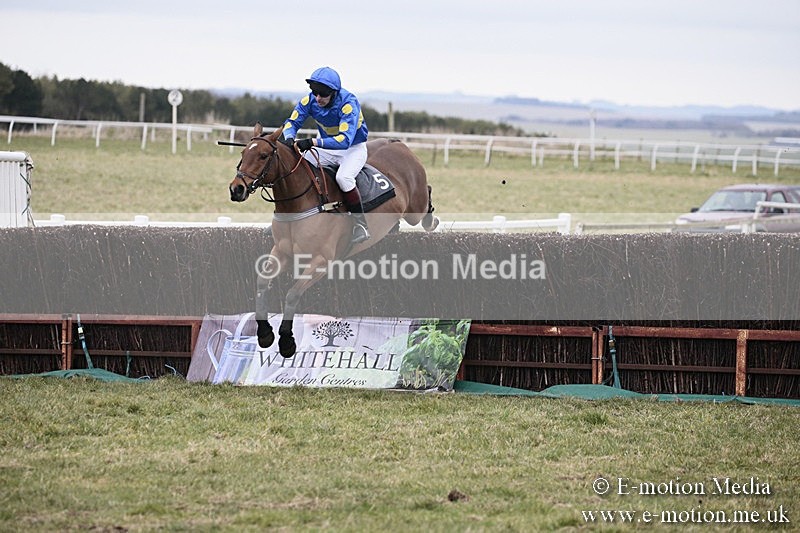 PtP 180218 147 - Combined Services Point-to-Point Larkhill 18/02/18
