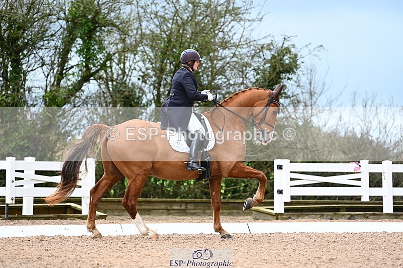 240218A-103125-06019 - 175-Jane.Morris-Silverstar.Z