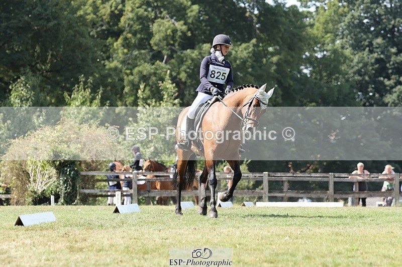 250823A-132622-31311 - Arena D