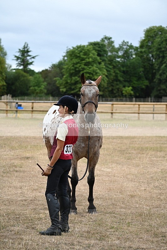 WJ6_8247 - Class 10 Coloured in Hand