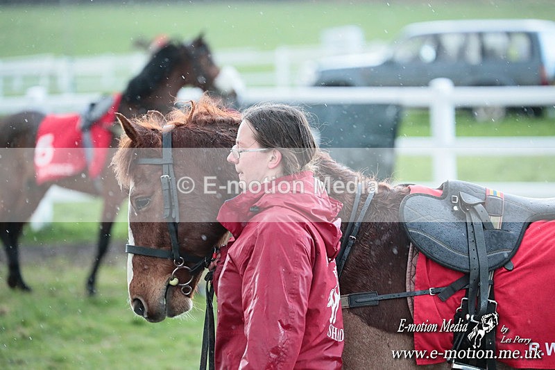 PtP 230324 1081 - Tedworth Hunt PtP Larkhill Raccourse 23rd March 2024