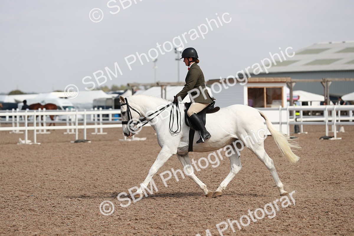 SBM_14892 - Class 212 Ridden Hunter - Small