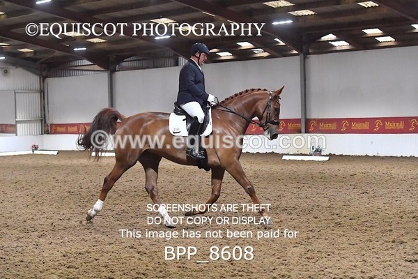 BPP_8608 - NOVICE 4 BD