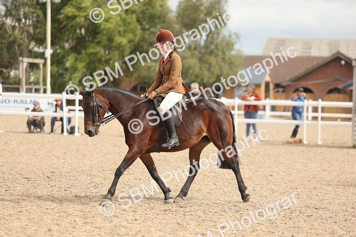 SBM_18007 - Class 314 - Family Horse Pony