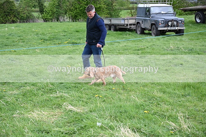 WJ6_8114 - Class 2 Best Pedigree