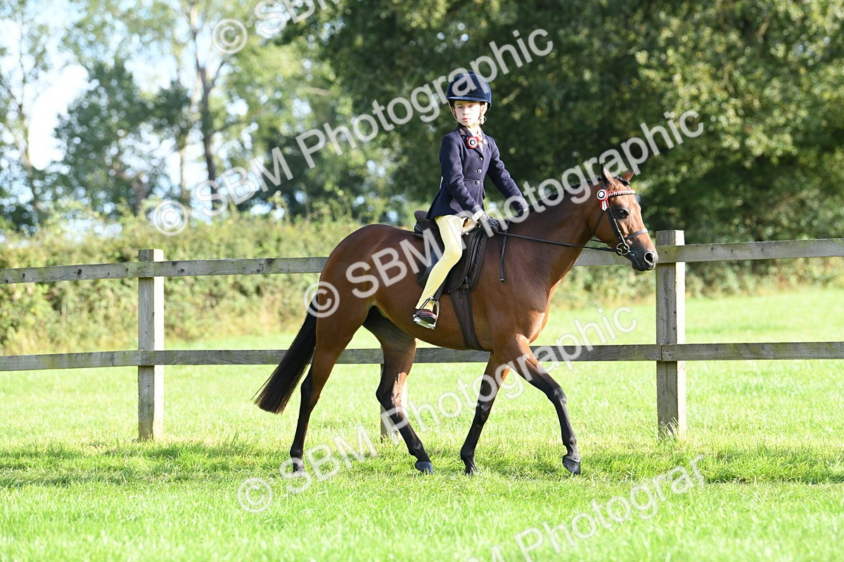 SBM_52375 - S22 - 1st Ridden Show & Show Hunter Pony