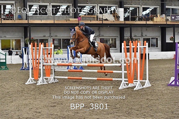 BPP_3801 - FRI CLASS 21 BR NOVICE/90CM