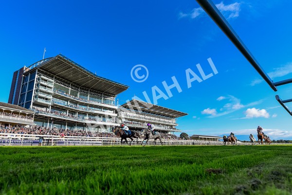 141023-Race 6-Punctuation-4109 - Race 6 4.10pm Coral Get Closer To The Action Handicap