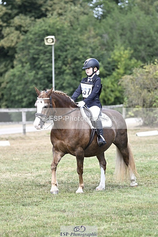 250821A-123354-15591 - DR 11.00 to 12.00