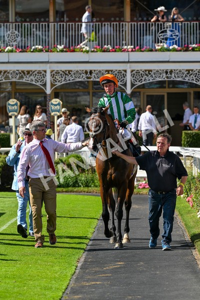120725-Race 5-Amazing Journey-0439 - Race 5 4.15pm John Smith's Nursery Handicap