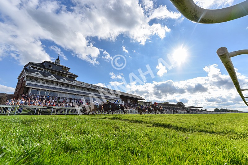 140926-Race 4-Lamlash Bay-2 - Race 4 3.51pm Sapphire Selling Handicap