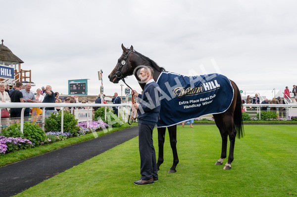 250524-Race 3-Starlust-0314 - Race 3 2.45pm William Hill Extra Place Races Daily Handicap