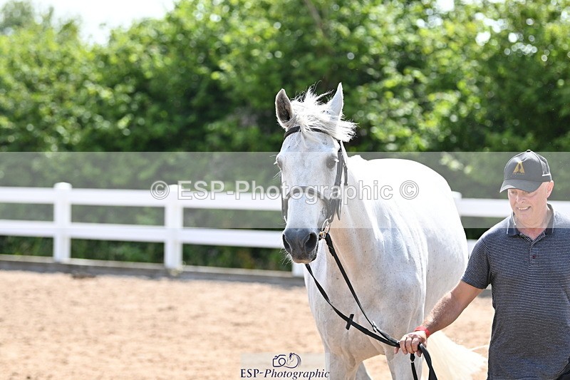 240717A-155045-03103 - Trot Up 3pm to 4pm