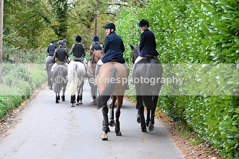 WJ7_7286 - Walk Home..