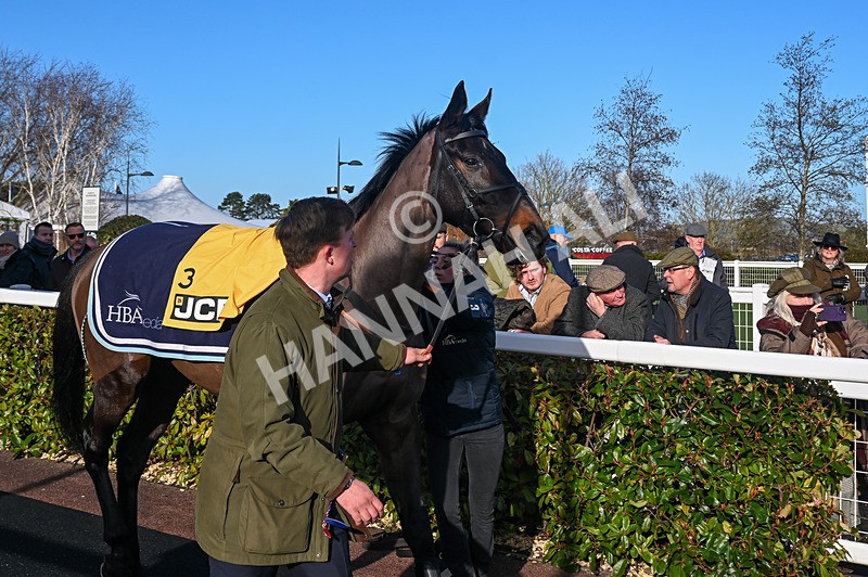 250125-Race 2-Stencil-3151 - Race 2