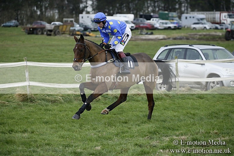 PtP 031217 339 - Hursley Hambledon Point-to-Point Larkhill 03/12/17