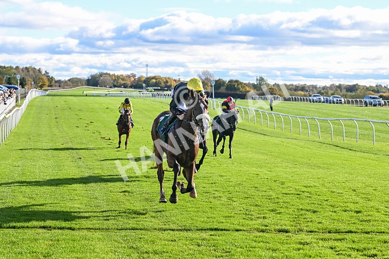 291024-Race 1-Hi Lord-5669 - Race 1