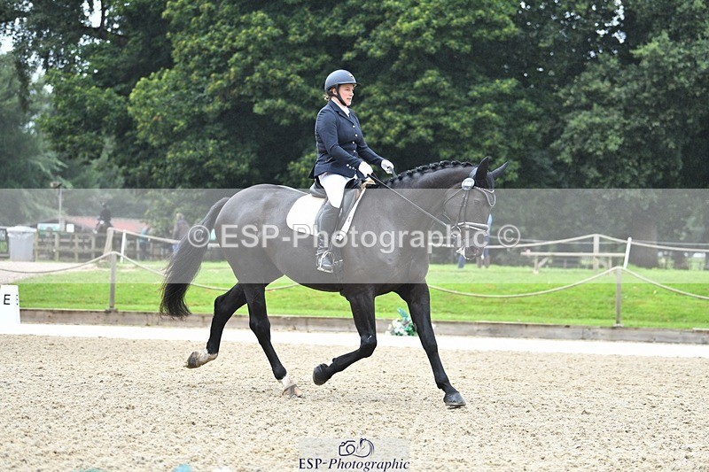 230812-103231-03396 - Cls 6 Novice Silver 10.30 to 11.55 break