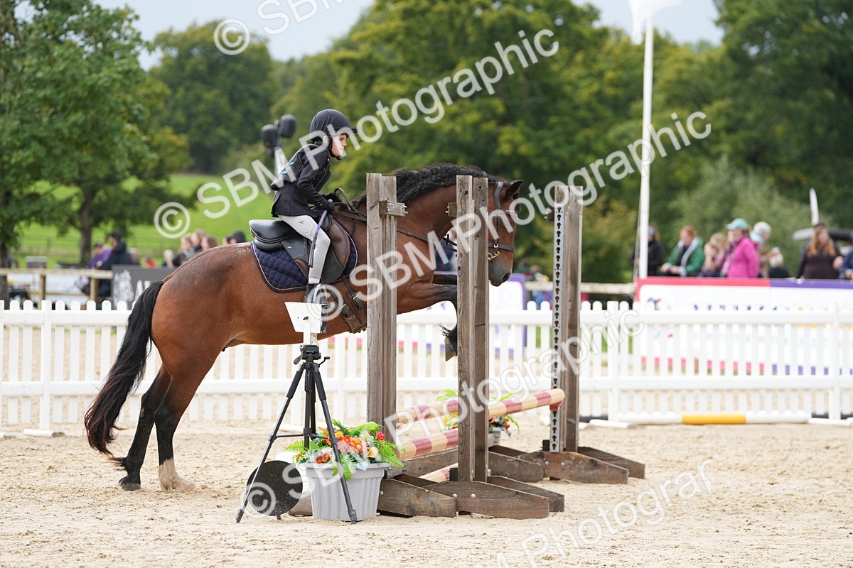 SBM_39800 - J6 - Junior Pony 55cm Championship