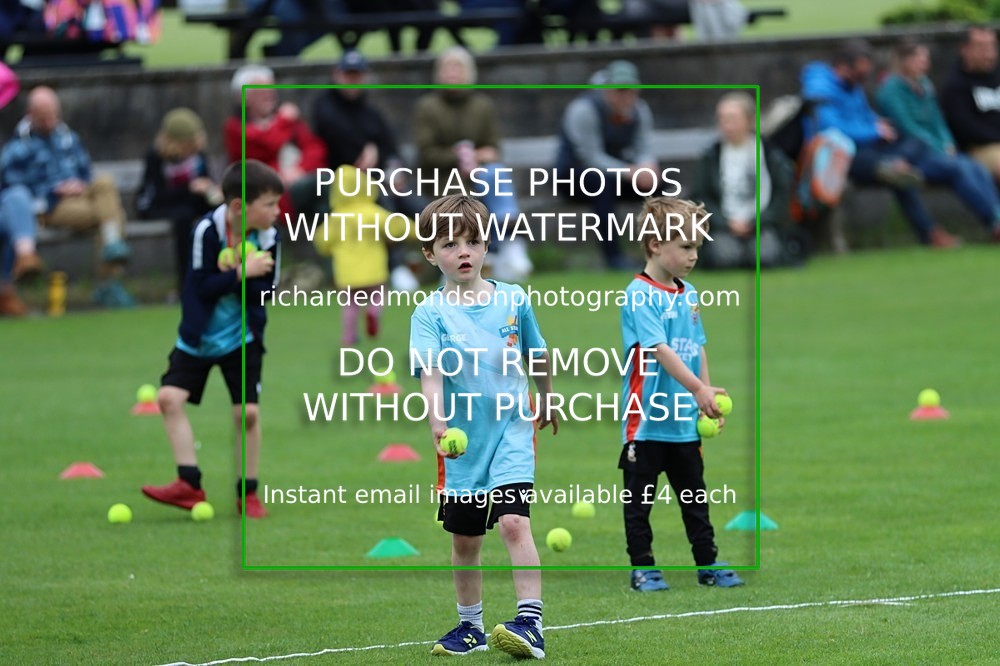 IMG_1280 - All Stars Cricket-Netherfield