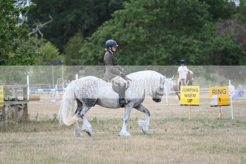 WJ7_4723 - Class 12 Ridden Cob