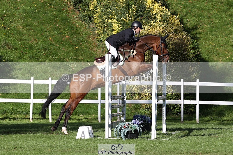 231022-113619-25269 - 683-ALVESCOT.FIVE.STAR-Mark.Ford-TrotUp+SJ