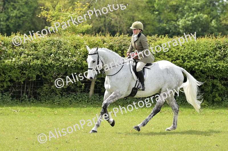 20260426-3701 - Class 22 - Working Hunter