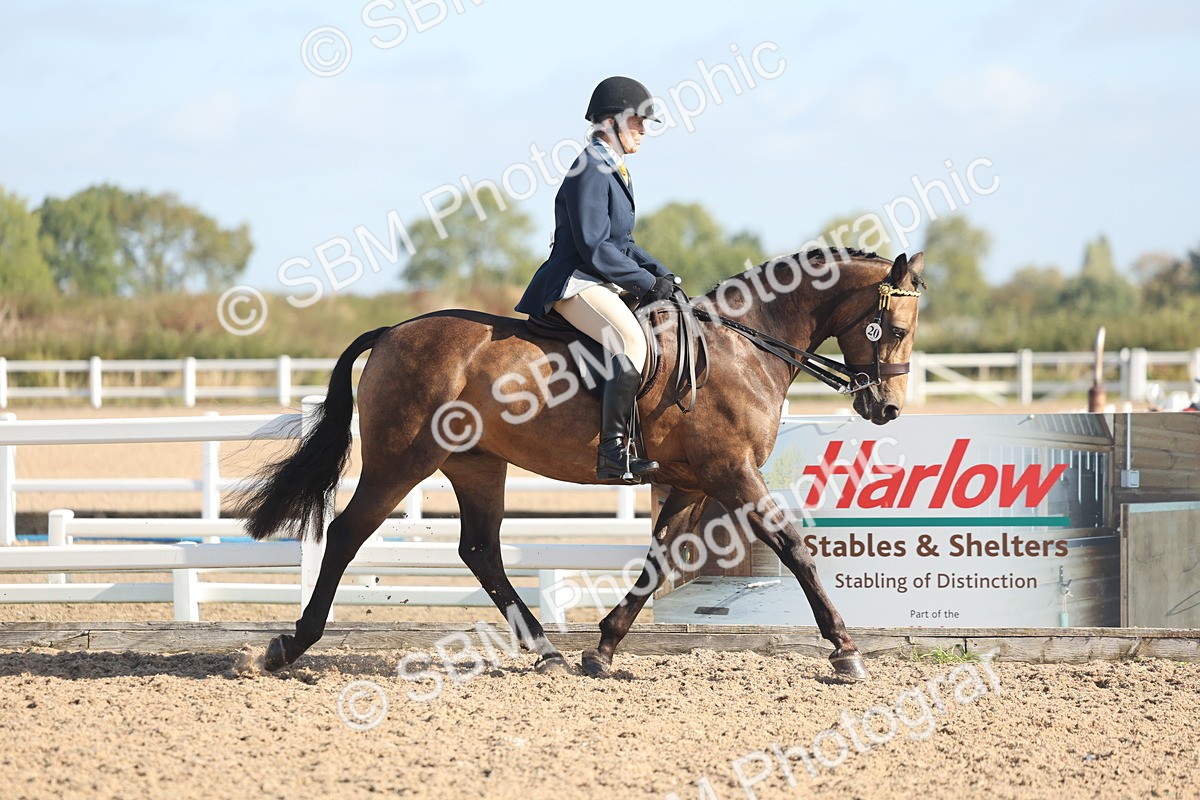 SBM_22291 - Class 803 - Ridden Combination 65+