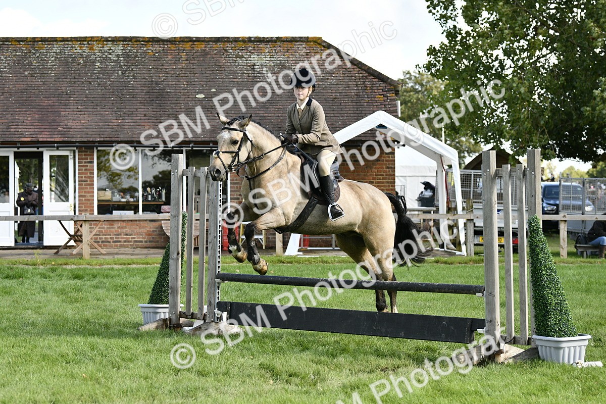 SBM_45717 - S33 - Working Hunter Pony