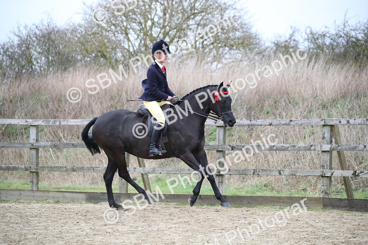 SBM_004704 - Class 5-9 - NPS In Hand-Show Hunter-Intermediate Ridden Inc Ridden Championship