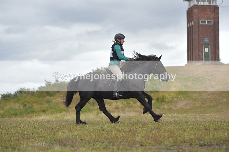 NGP_2773 - XC Time 11:37 to 11:57