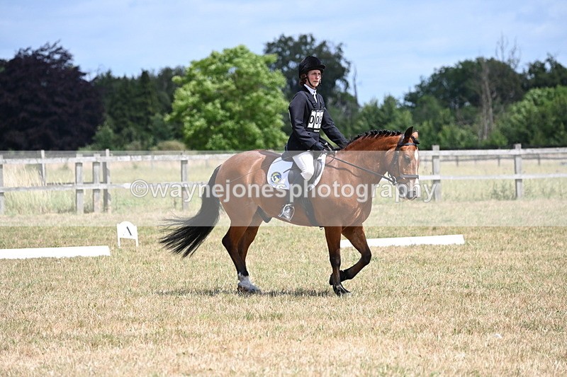 WJ6_3963 - Time 11:43 to 12:14