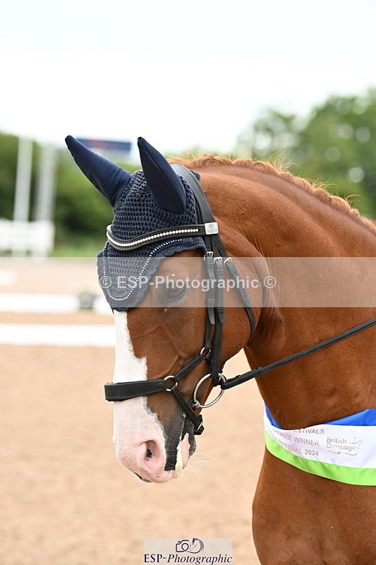 240815A-153121-02345 - Cls 9-P Freestyle Adv Medium Bronze