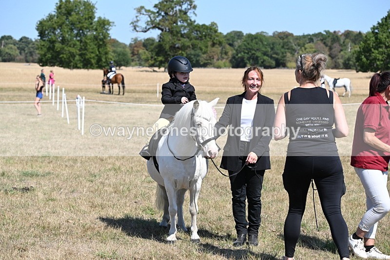 WJ6_8168 - Class 36 Lead Rein