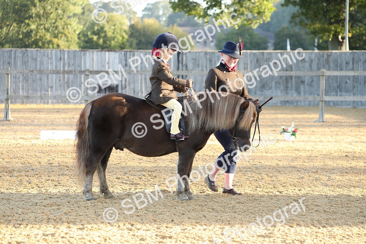 SBM_33551 - D26 - Starers - Lead Rein
