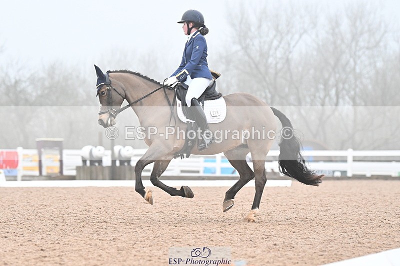 240217A-093105-00378 - 215-Olivia.Luscombe-Caederwin.Lady.Elinor