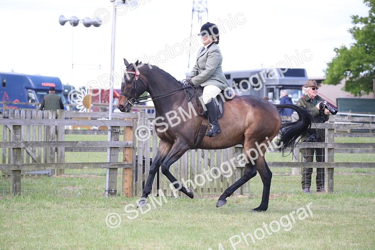 SBM_14206 - Class 113-114 - Retraining of Racehorses Ridden