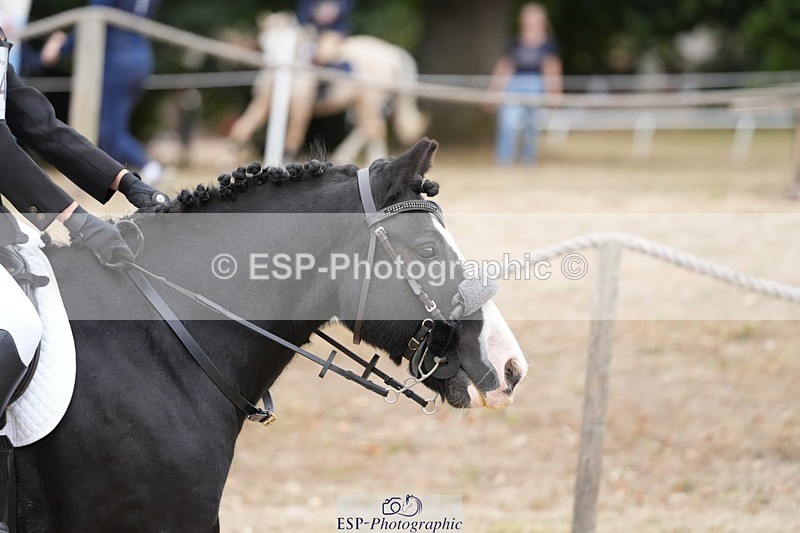 250820A-103335-02377 - Round 2, 9.45 to 10.45 Break