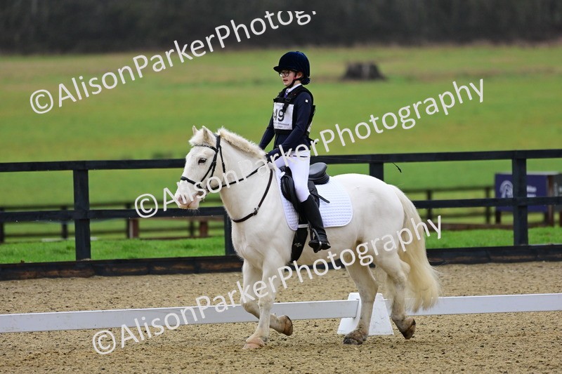 20260125-0584 - Class 9b - Walk Trot Unassisted