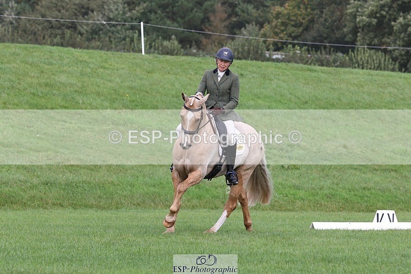 231019-111026-02577 - 612-CORRIEVIEW.MERLIN.MAGIC-Jane.Rogers-DR