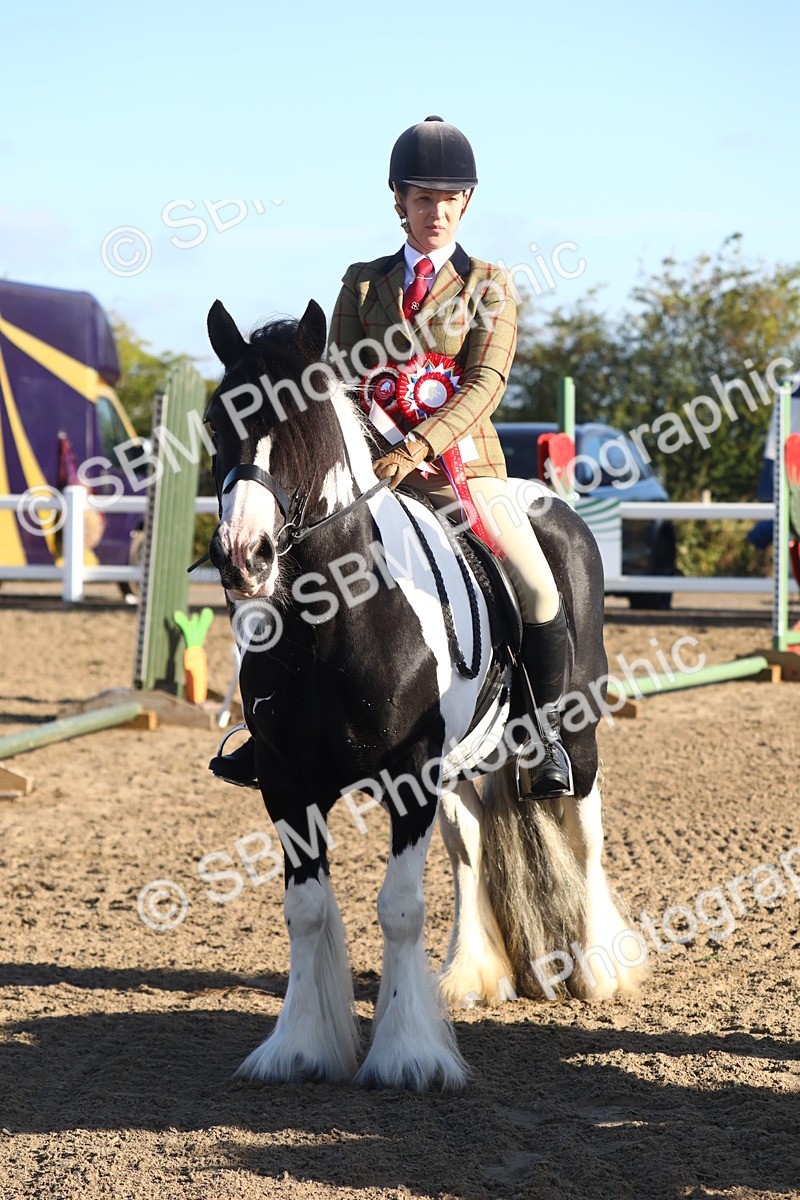 SBM_07926 - Class 501 - Riding Club Pony