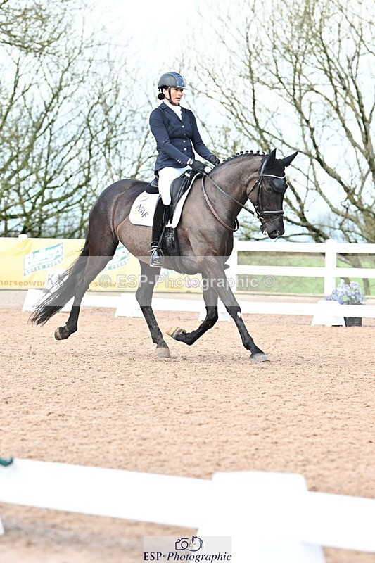 240218A-120036-06951 - 204-Elder.Klatzko-Dynasty.Hit