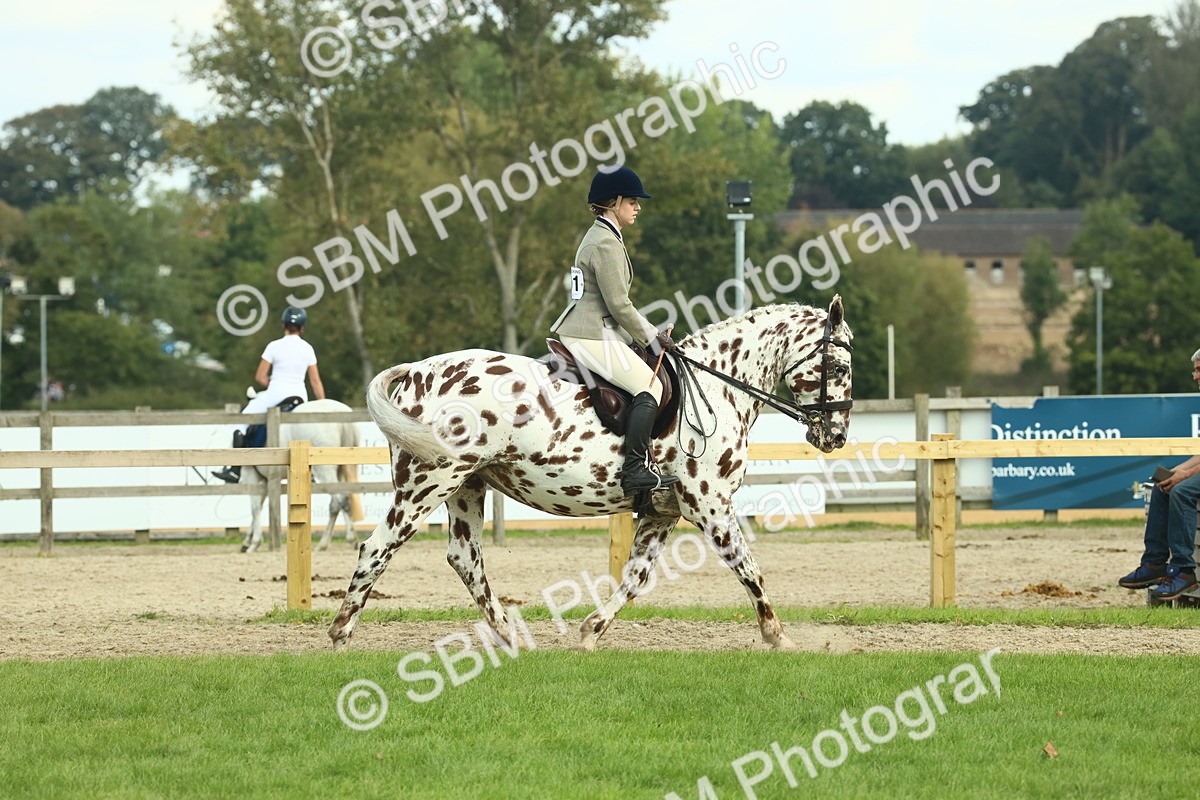 SBM_62458 - S62 - Foreign Breeds Ridden