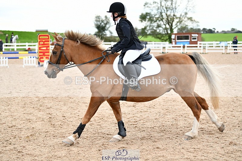 241013B-153046-01892 - Cls 6 80cm