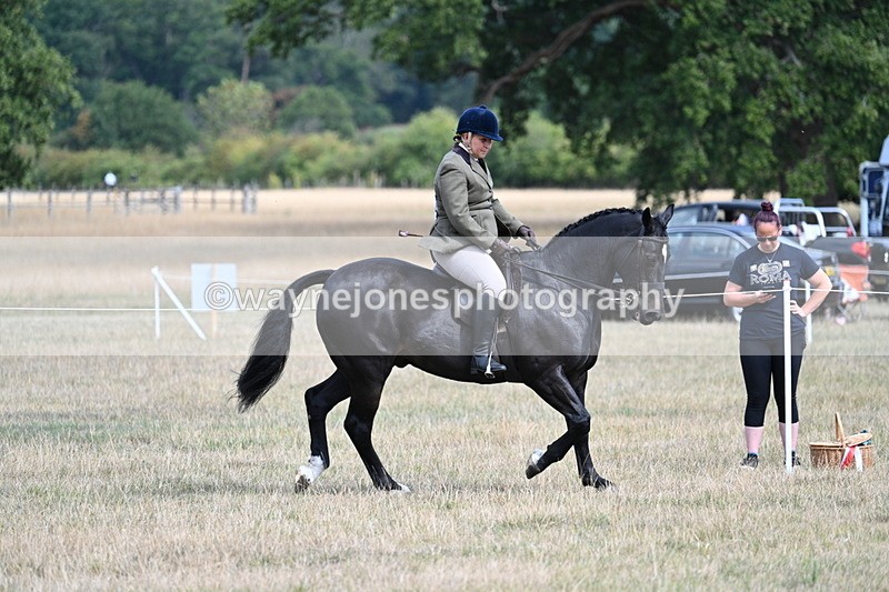 WJ7_6131 - Class 13 Ridden Veterans