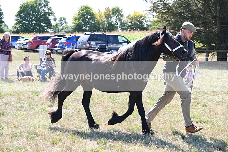 WJ6_4782 - Class 17 Mountain & Moorland