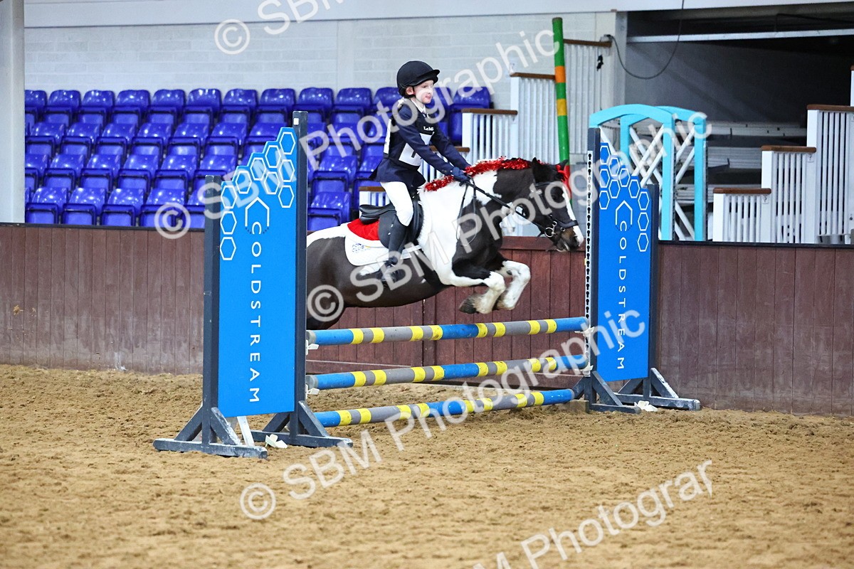 SBM_001305 - Class 3 - Christmas Tree Stakes - 60cm