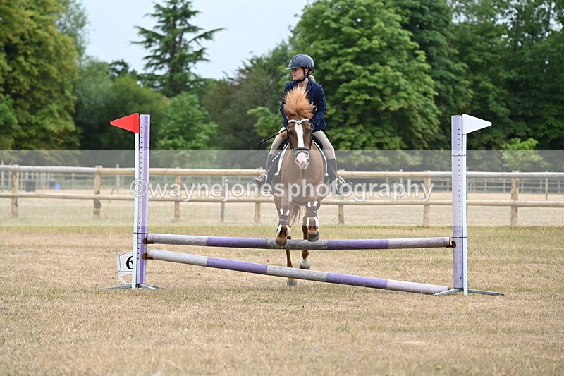 WJ6_0206 - Class 13 Novice Jumping 60cm